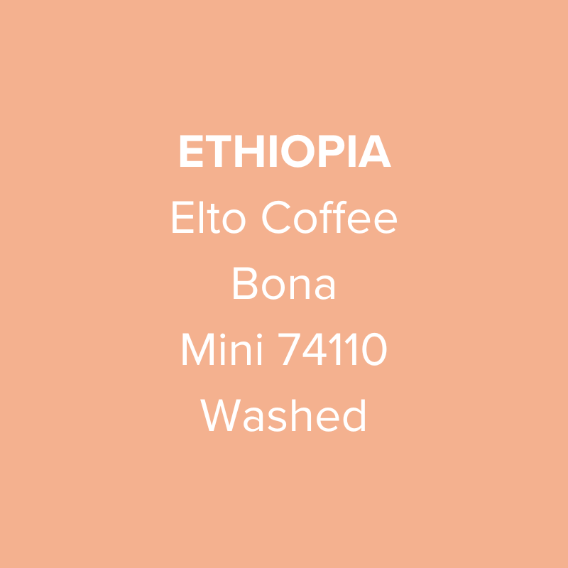 Ethiopia Elto Coffee Sidama Mini 74110 Washed