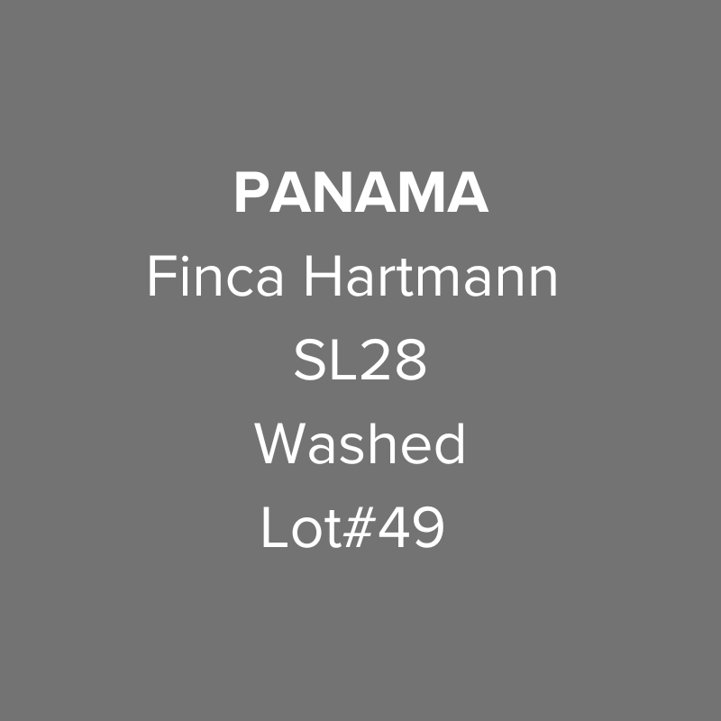 Panama Finca Hartmann SL28 Washed Lot #49