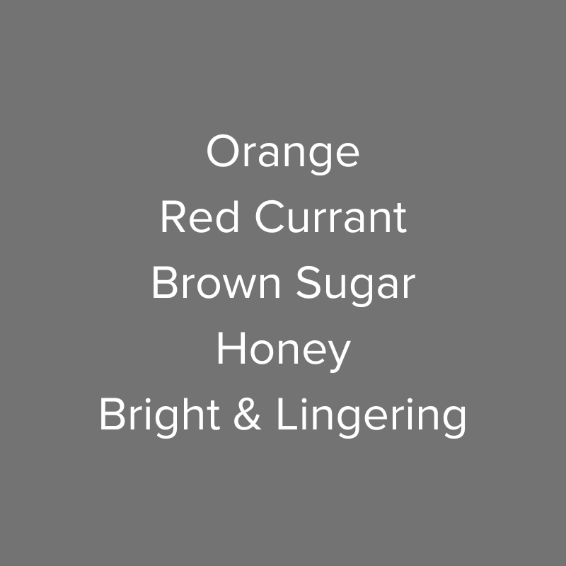 Panama Finca Hartmann SL28 Washed Lot #49