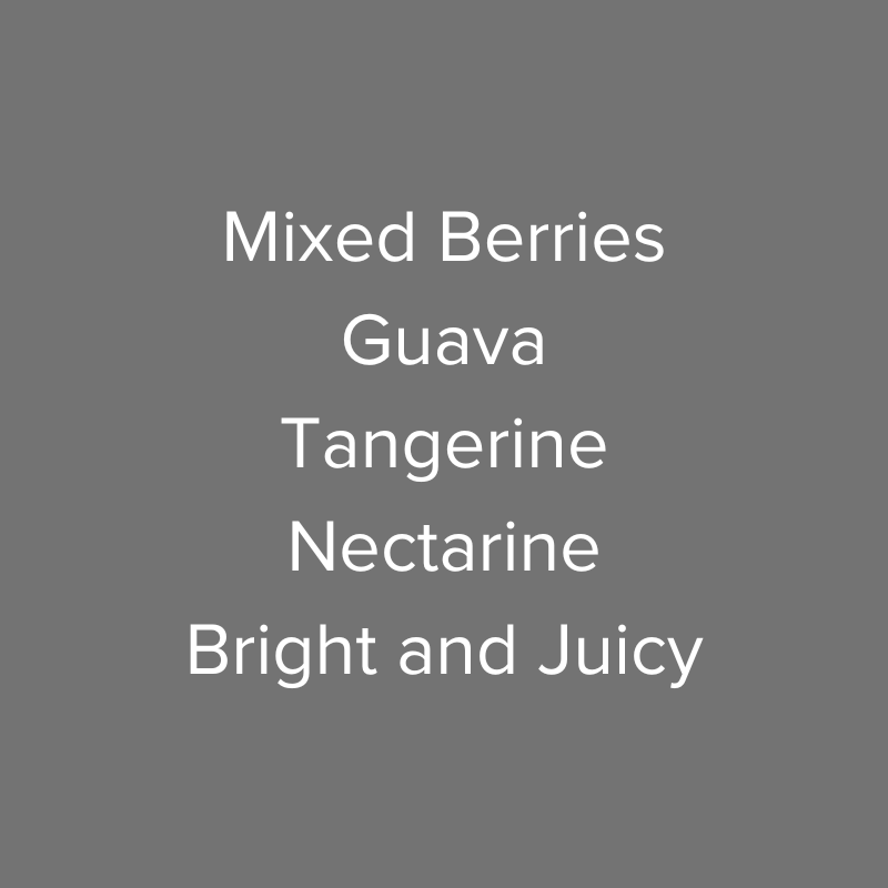 Kenya Kiambu Handege SL28 & SL34 Peaberry Washed PB TOP