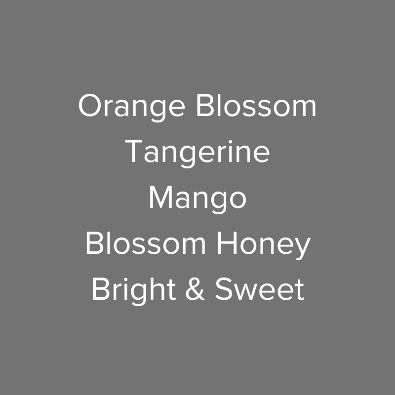 Panama Janson Coffee Farm Hacienda Las Lagunas Geisha Cold Fermented Natural Lot 188