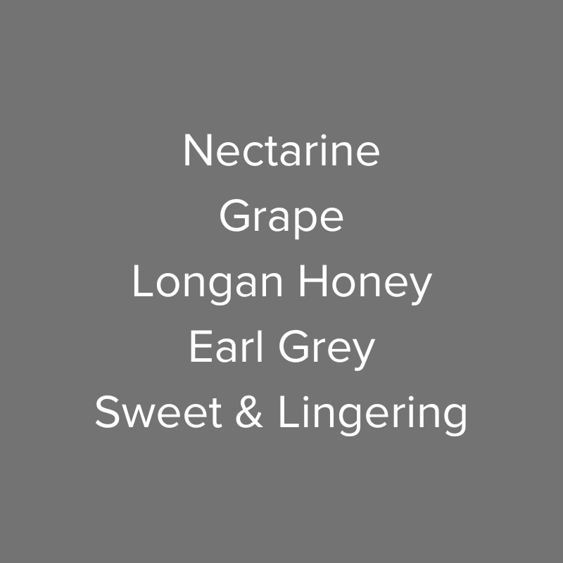 Nicaragua Solidaridad Maracaturra Washed COE Auction #2