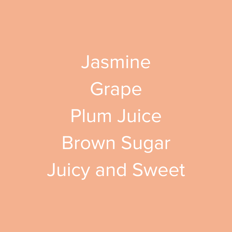 Panama Adaura Coffee Geisha Natural DRD Coffee Capsule