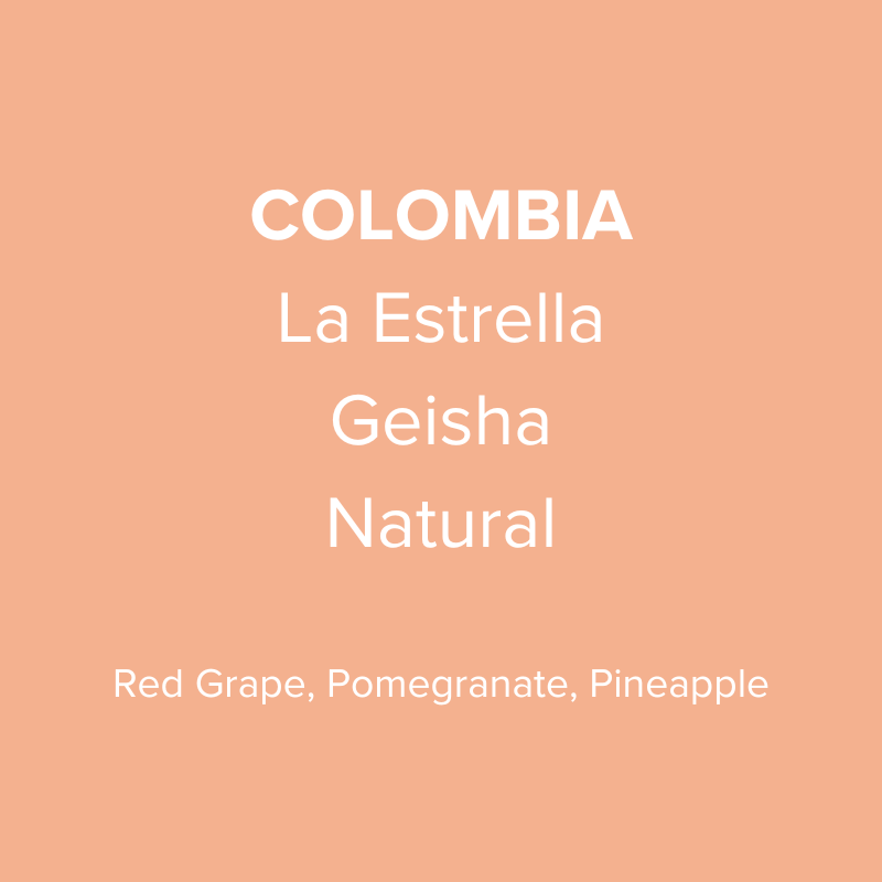 Colombia La Estrella Geisha Natural