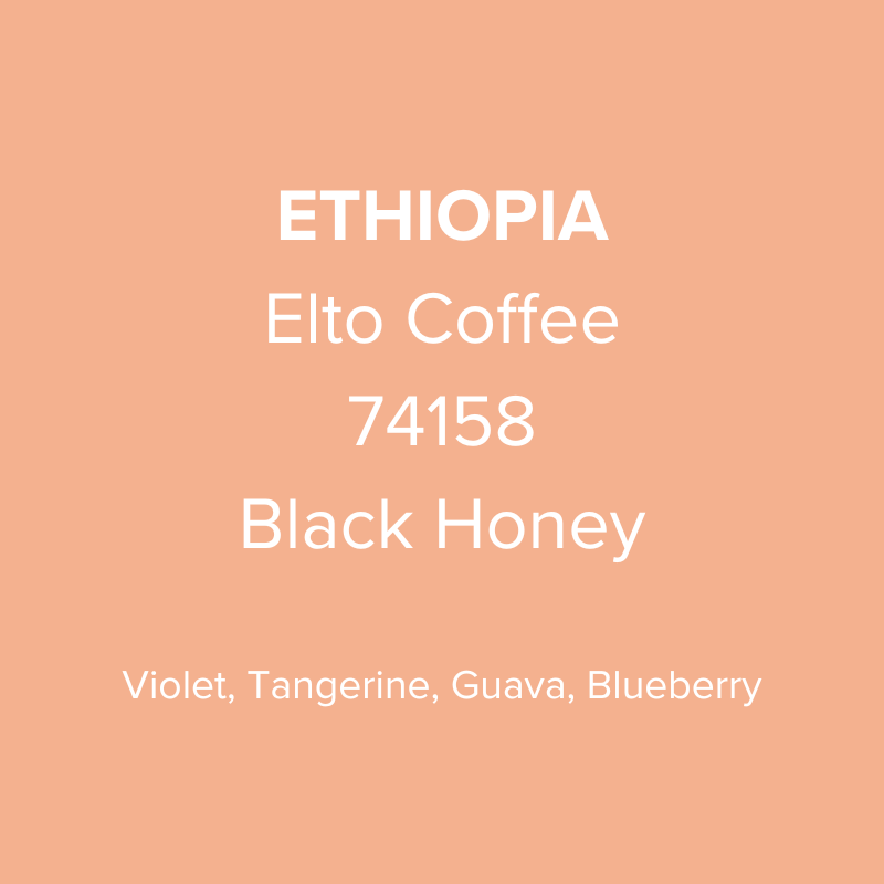Ethiopia Elto Coffee Sidama Bare Station 74158 Black Honey