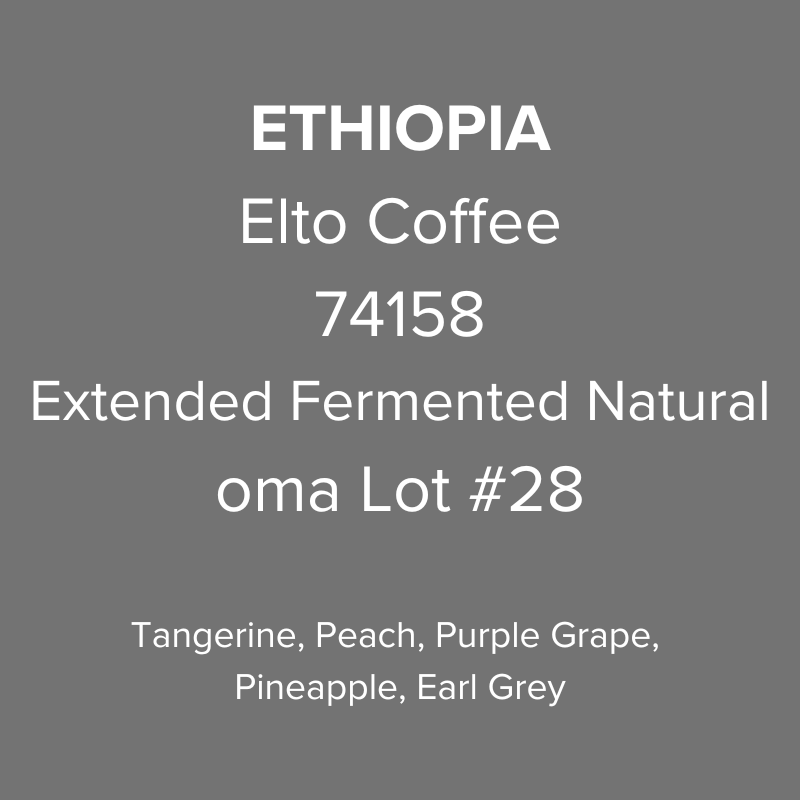 Ethiopia Elto Coffee Sidama Bare 74158 Extended Fermented Natural oma Lot #28