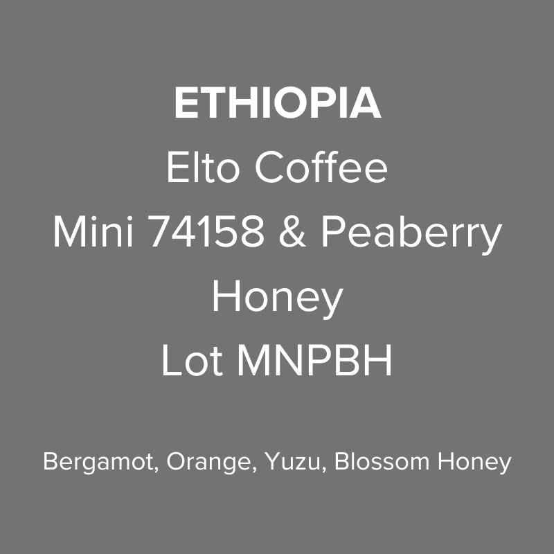 Ethiopia Elto Coffee Sidama Elora Station Mini 74158 & Peaberry Honey Lot MNPBH