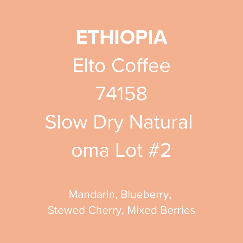 Ethiopia Elto Coffee Sidama Bare Station 74158 Slow Dry Natural oma Lot #2