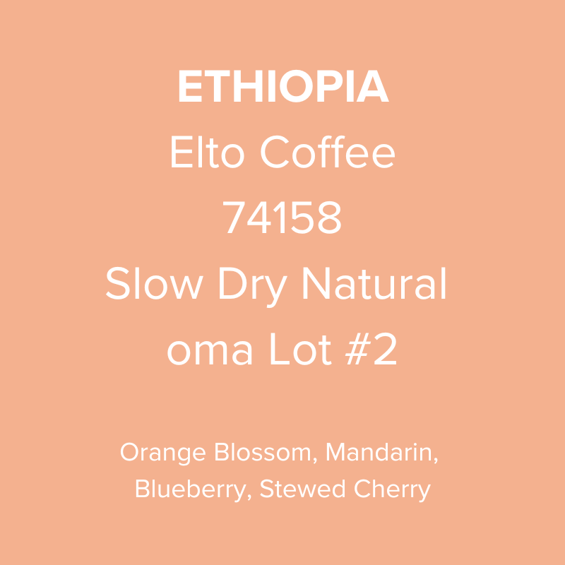 Ethiopia Elto Coffee Sidama Bare Station 74158 Slow Dry Natural oma Lot #2