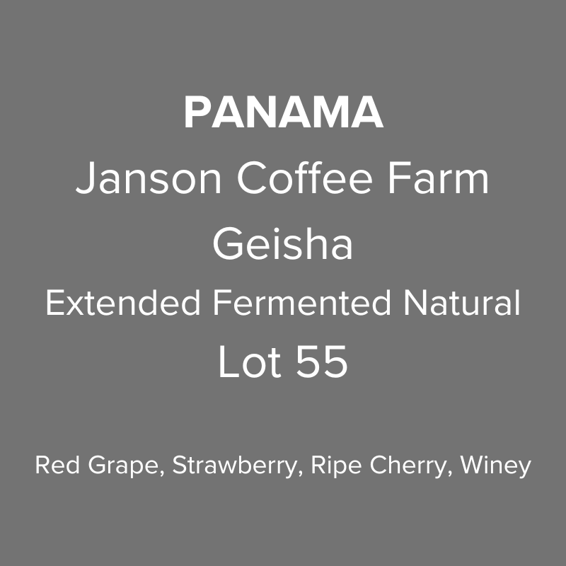Panama Janson Coffee Farm Hacienda Las Lagunas Geisha Extended Fermented Natural Lot 55