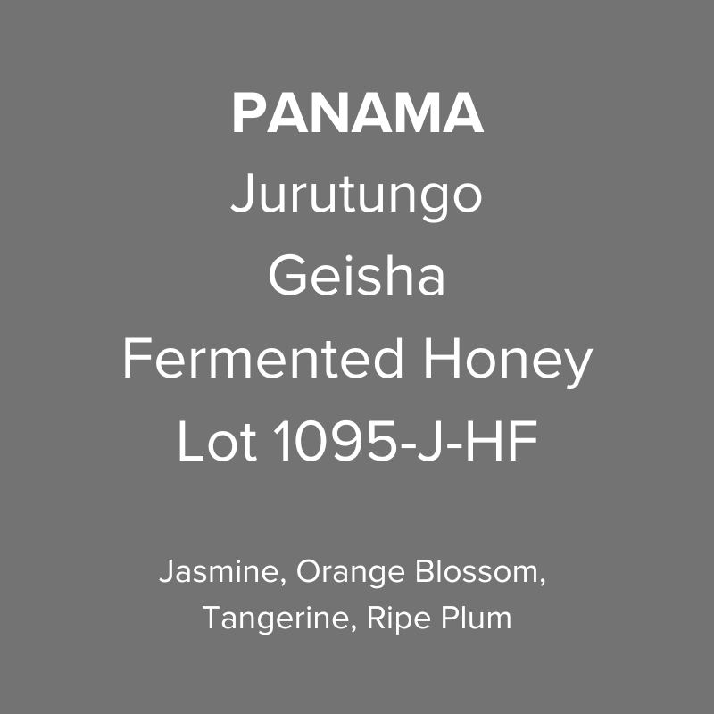 Panama Jurutungo Geisha Fermented Honey Lot 1095-J-HF