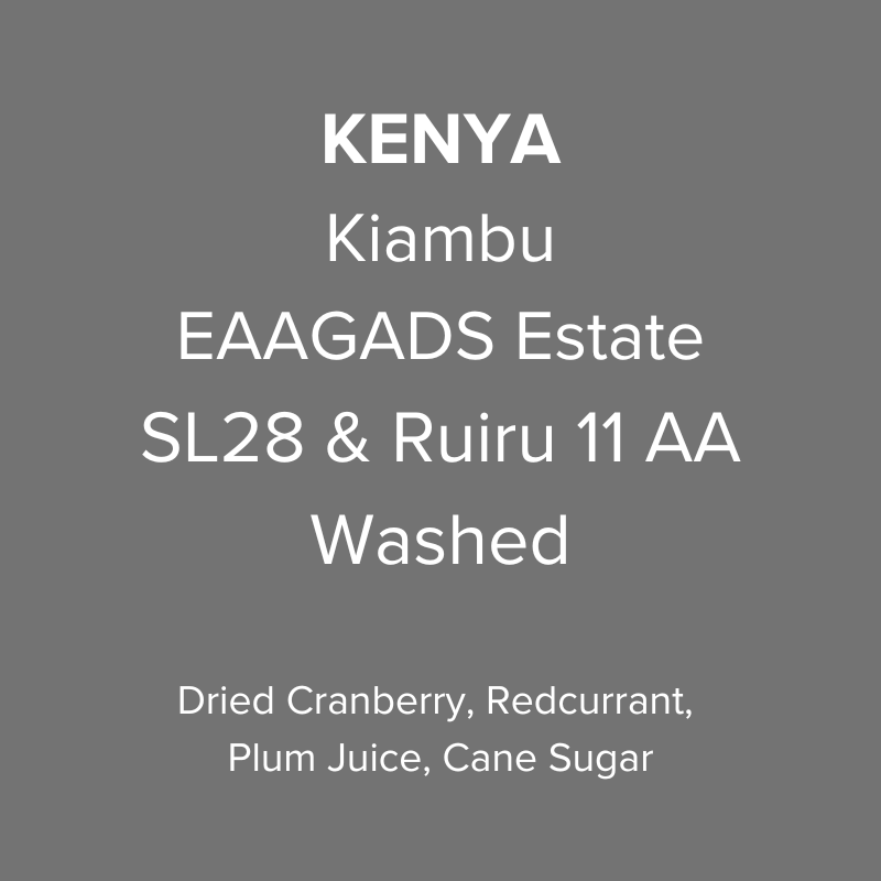 Kenya Kiambu EAAGADS Estate SL28 & Ruiru 11 Washed AA TOP