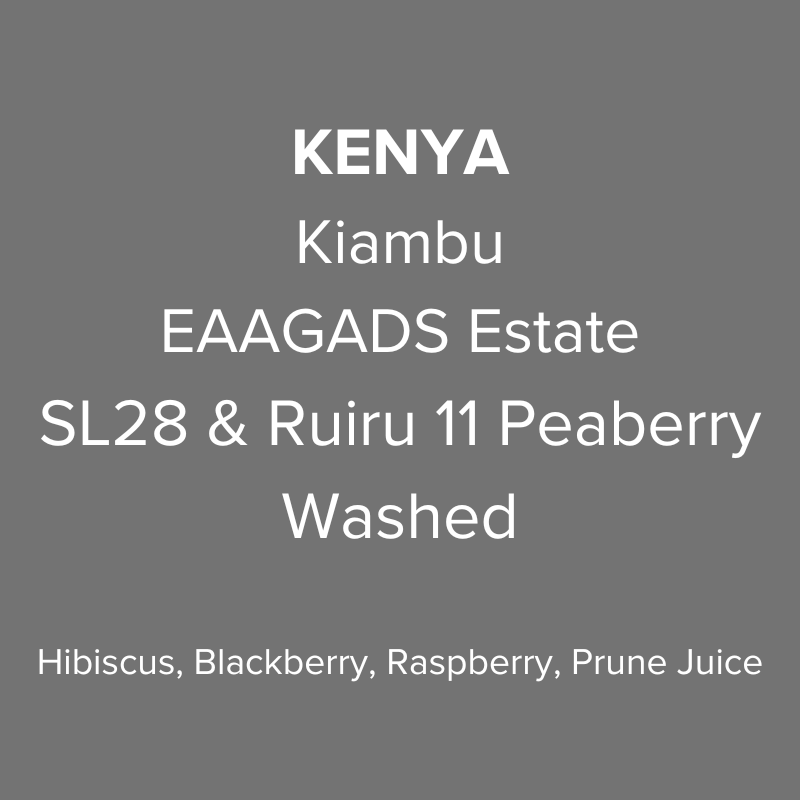 Kenya Kiambu EAAGADS Estate SL28 & Ruiru 11 Peaberry Washed PB TOP