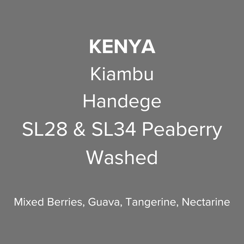 Kenya Kiambu Handege SL28 & SL34 Peaberry Washed PB TOP