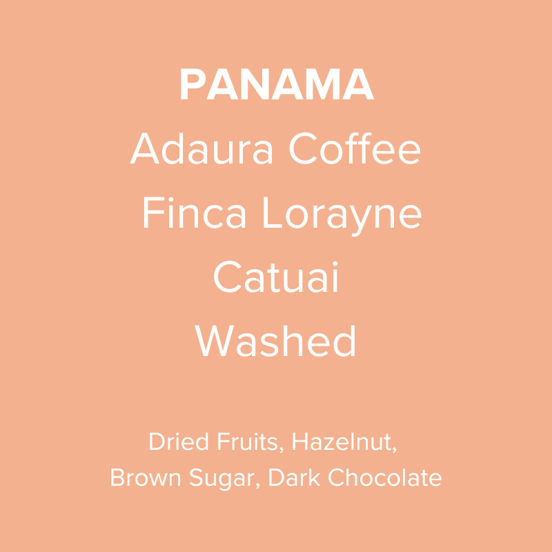 Panama Adaura Coffee Catuai Washed