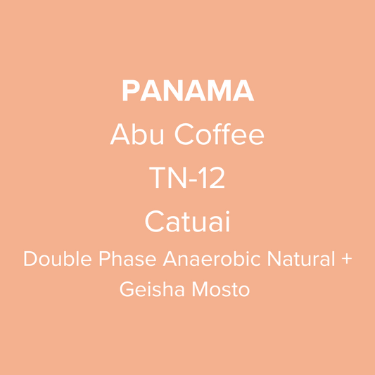 Panama Abu Coffee Catuai Double Phase Anaerobic Natural + Geisha Mosto Lot TN-12