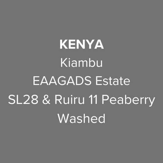 Kenya Kiambu EAAGADS Estate SL28 & Ruiru 11 Peaberry Washed PB TOP