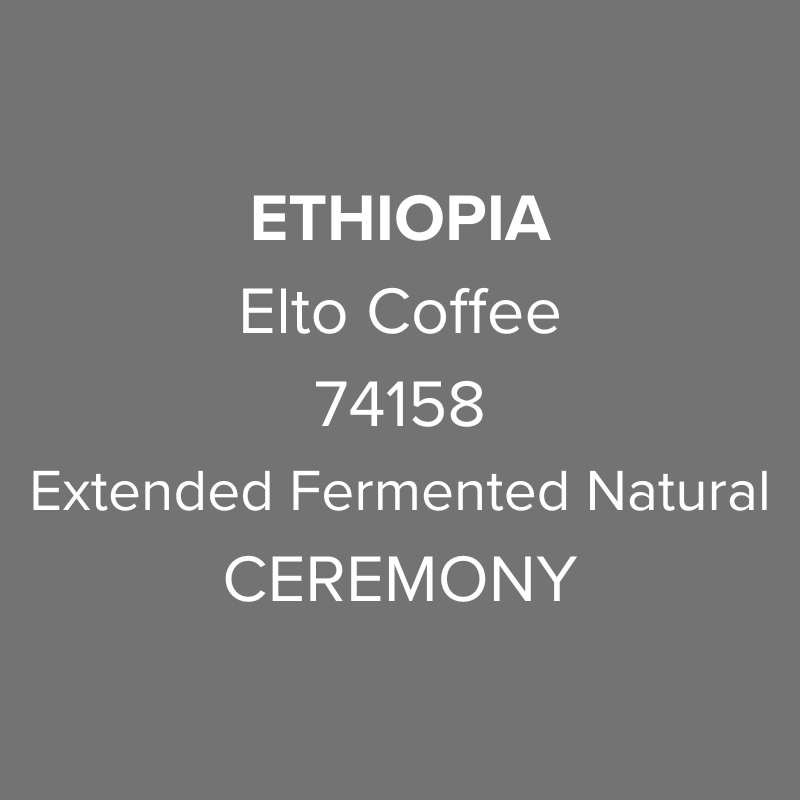 Photo of Ethiopia Elto Coffee Sidama Elora Station Extended Fermented Natural Lot CEREMONY