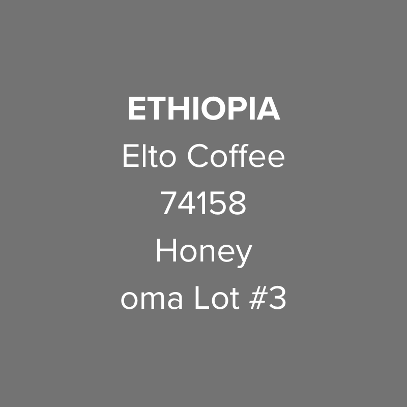 Photo of Ethiopia Elto Coffee Sidama Sama Station 74158 Honey oma Lot #3