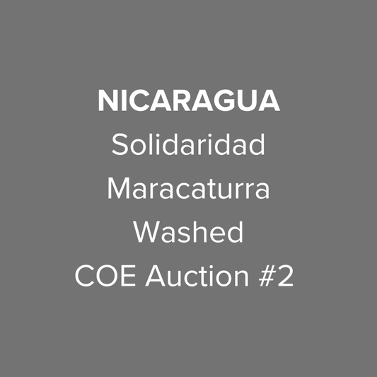 Nicaragua Solidaridad Maracaturra Washed COE Auction #2