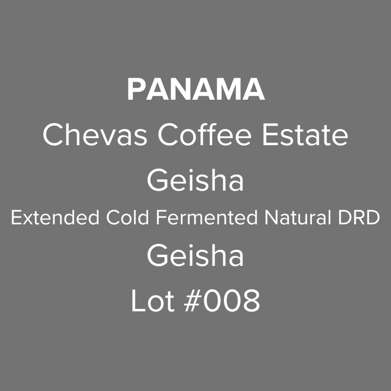 Photo of Panama Chevas Coffee Estate Geisha Extended Cold Fermented Natural Dark Room Drying Lot #008