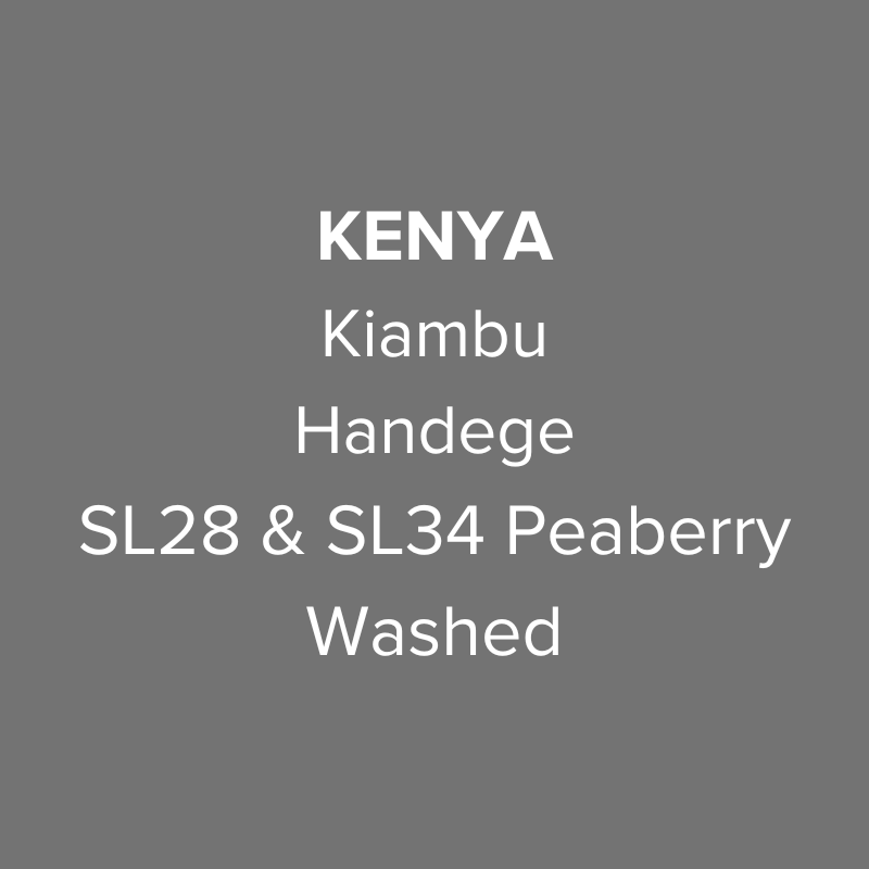 Photo of Kenya Kiambu Handege SL28 & SL34 Peaberry Washed PB TOP