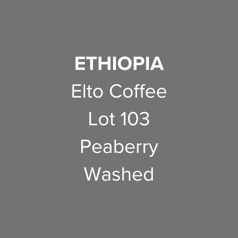 Ethiopia Elto Coffee Sidama Hamasho Gango Village Hand Pick Peaberry Washed Lot 103