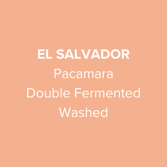 El Salvador La Palma Felix Enrique Posada Pacamara Double Fermented Washed