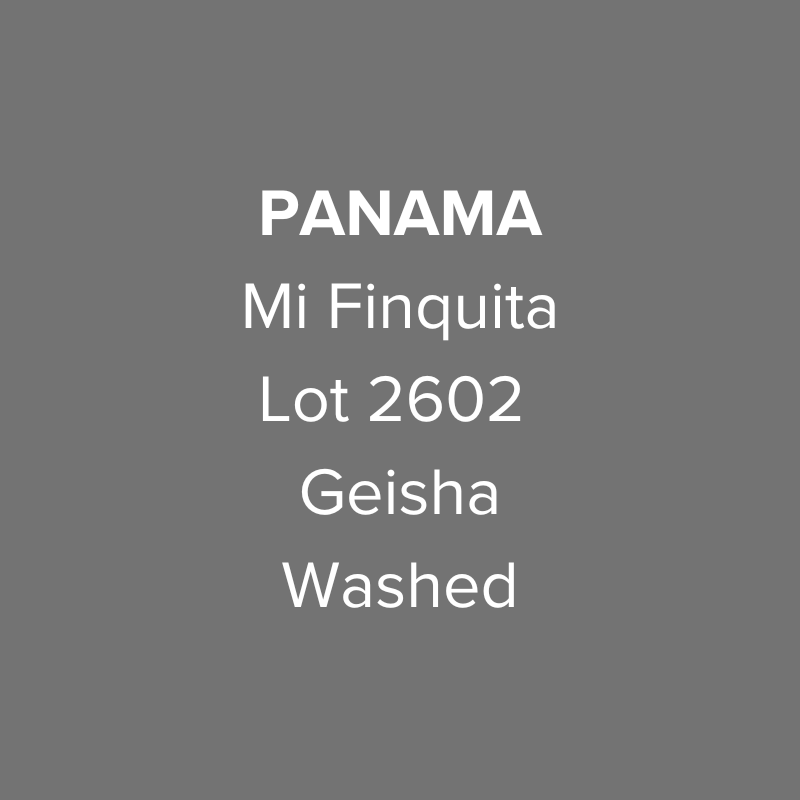 Panama Mi Finquita Geisha Washed Lot 2602