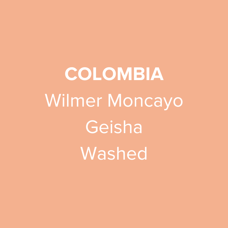 Colombia Wilmer Moncayo Geisha Washed