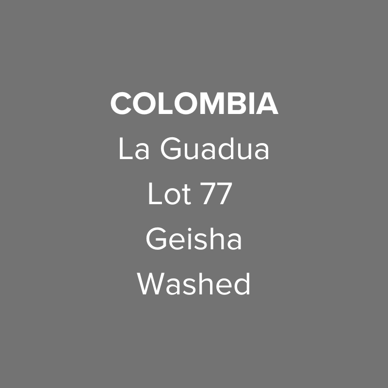 Colombia La Guadua Geisha Washed Lot 77