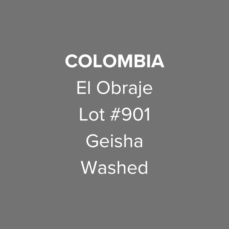 Colombia El Obraje Geisha Washed Lot #901