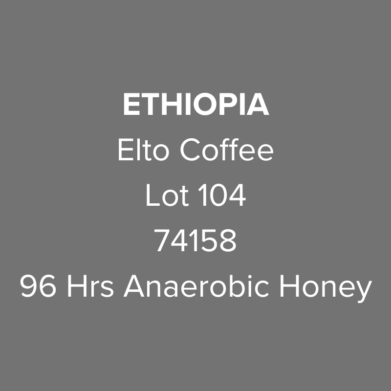 Ethiopia Elto Coffee Sidama Arbegona 74158 96 Hrs Anaerobic Honey Lot 104