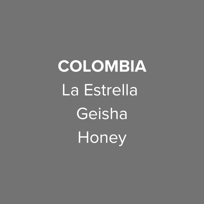 Colombia La Estrella Geisha Honey