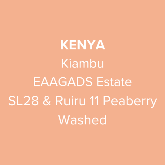 Kenya Kiambu EAAGADS Estate SL28 & Ruiru 11 Peaberry Washed PB TOP
