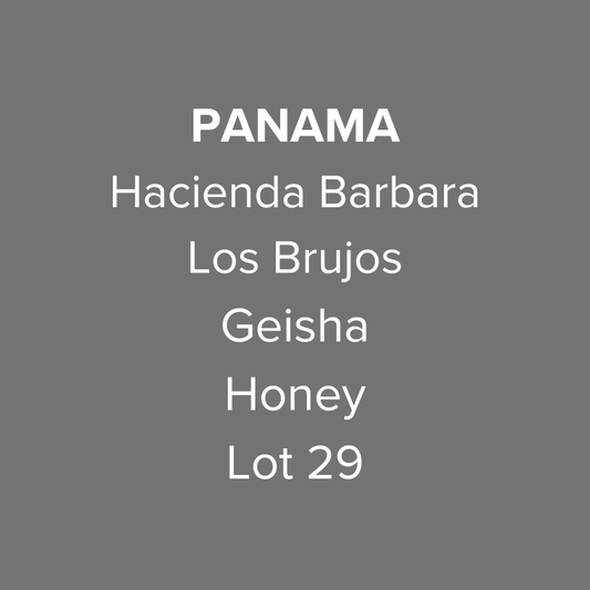 Panama Hacienda Barbara Geisha Honey Lot 29