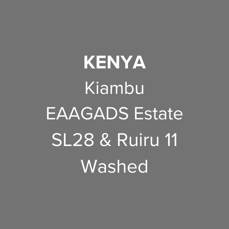 Photo of Kenya Kiambu EAAGADS Estate SL28 & Ruiru 11 Washed AA TOP