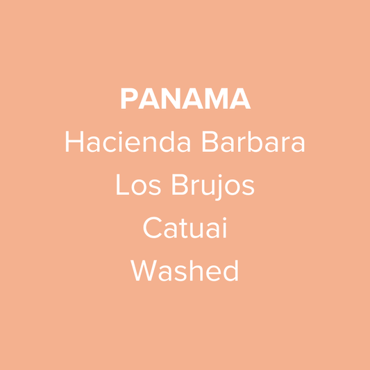 Panama Hacienda Barbara Los Brujos Catuai Washed