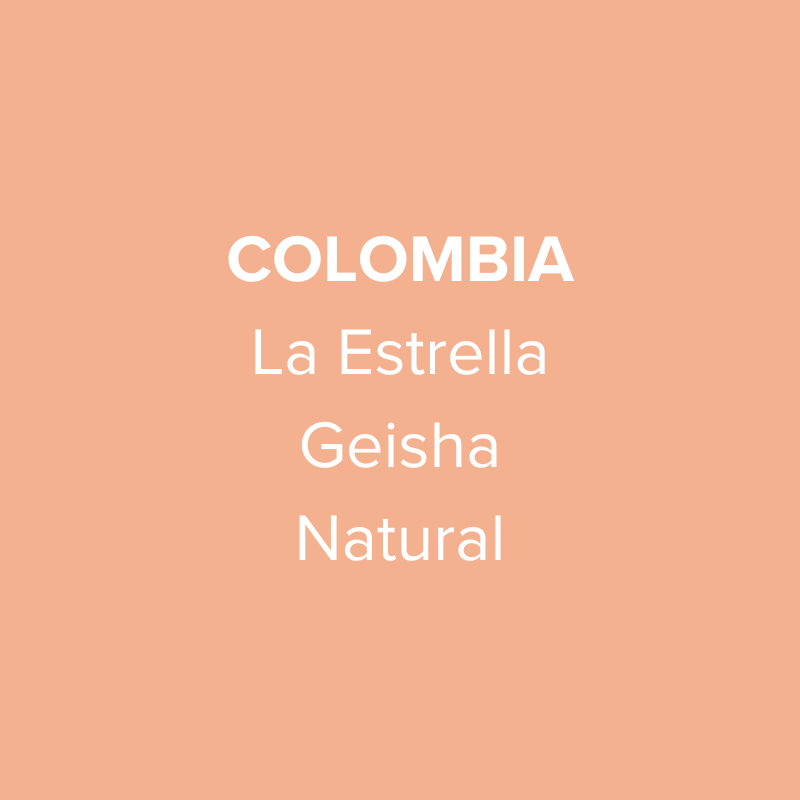 Photo of Colombia La Estrella Geisha Natural