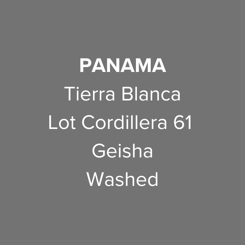 Panama Tierra Blanca Geisha Coffee Geisha Washed Lot Cordillera 61 (2024 BoP GW-05 same region and processing)