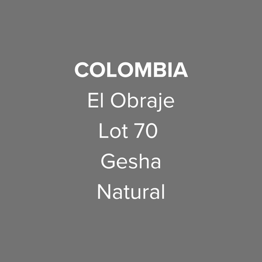 Colombia El Obraje Gesha Natural Lot 70