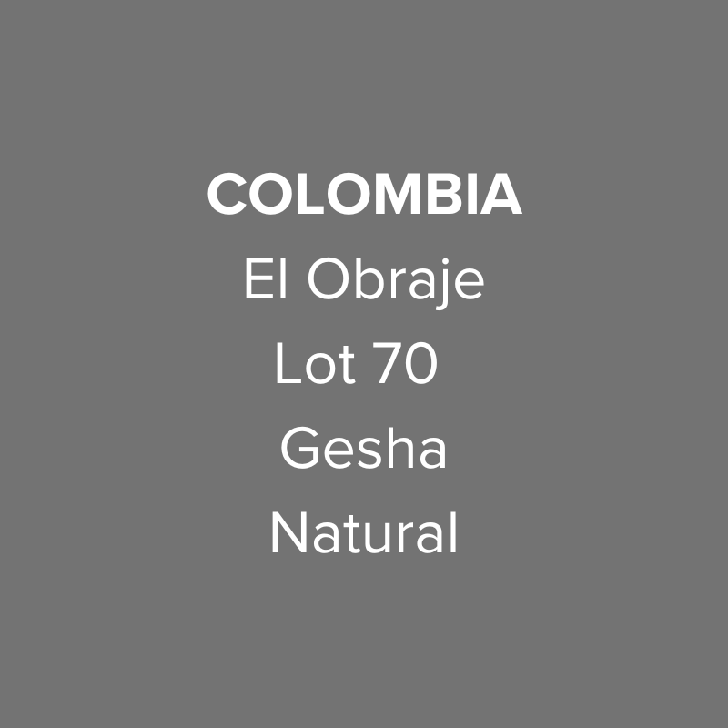 Colombia El Obraje Gesha Natural Lot 70
