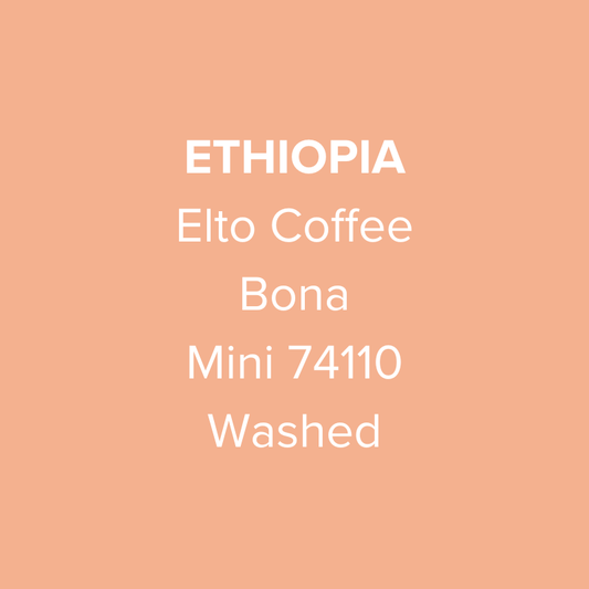 Ethiopia Elto Coffee Sidama Mini 74110 Washed