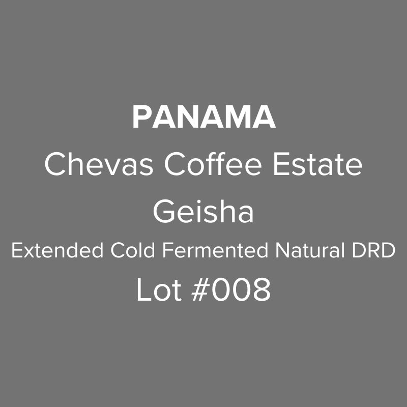 Panama Chevas Coffee Estate Geisha Extended Cold Fermented Natural Dark Room Drying Lot #008
