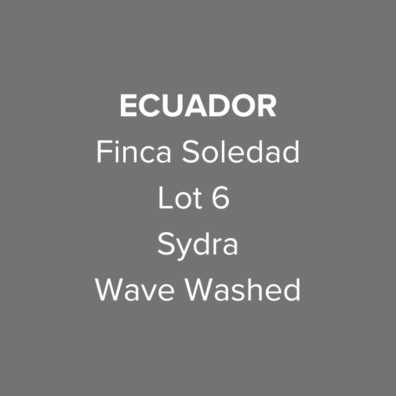 Ecuador Finca Soledad Sydra Wave Washed Lot 6