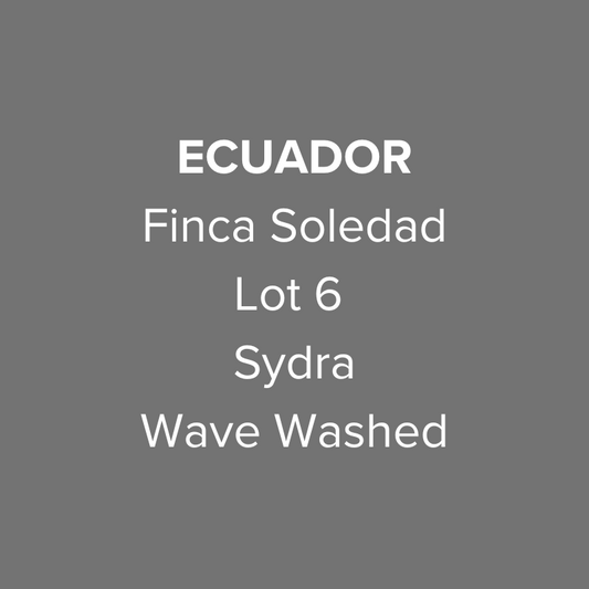 Ecuador Finca Soledad Sydra Wave Washed Lot 6