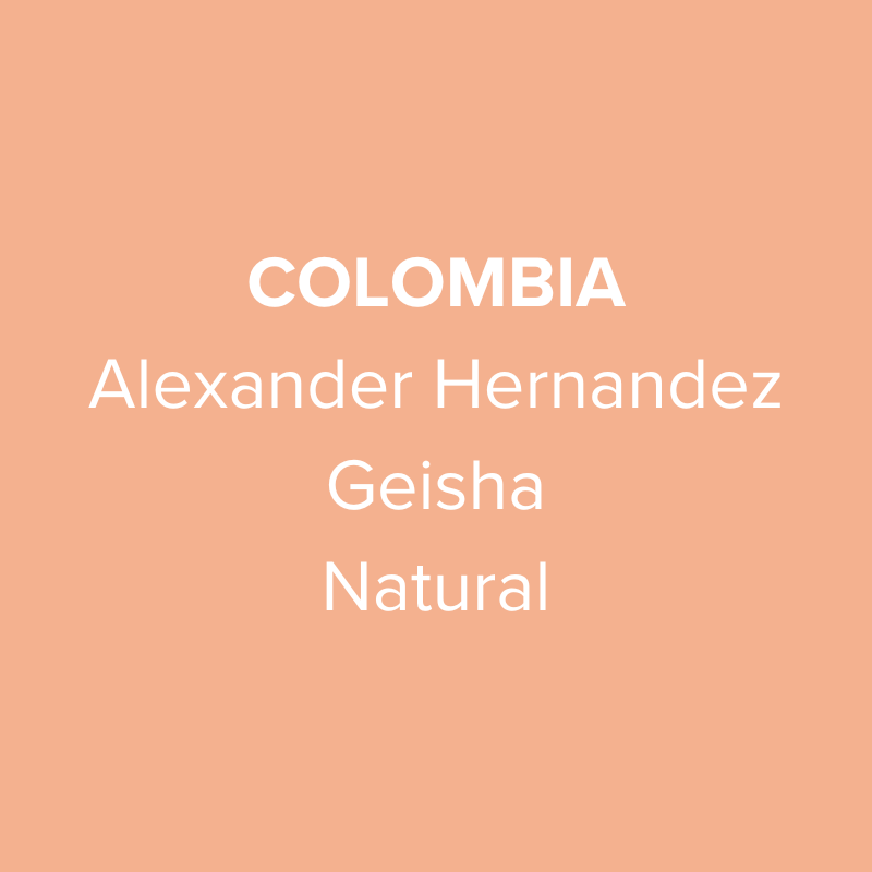 Photo of Colombia Huila Alexander Hernandez Geisha Natural