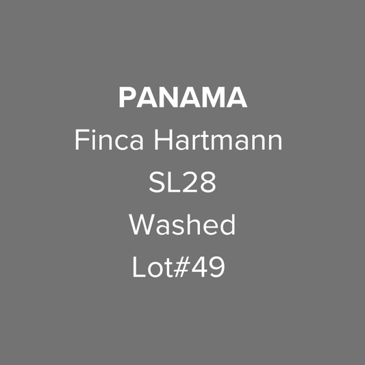 Panama Finca Hartmann SL28 Washed Lot #49