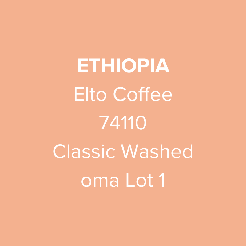 Ethiopia Elto Coffee Sidama Bona 74110 Classic Washed oma Lot 1