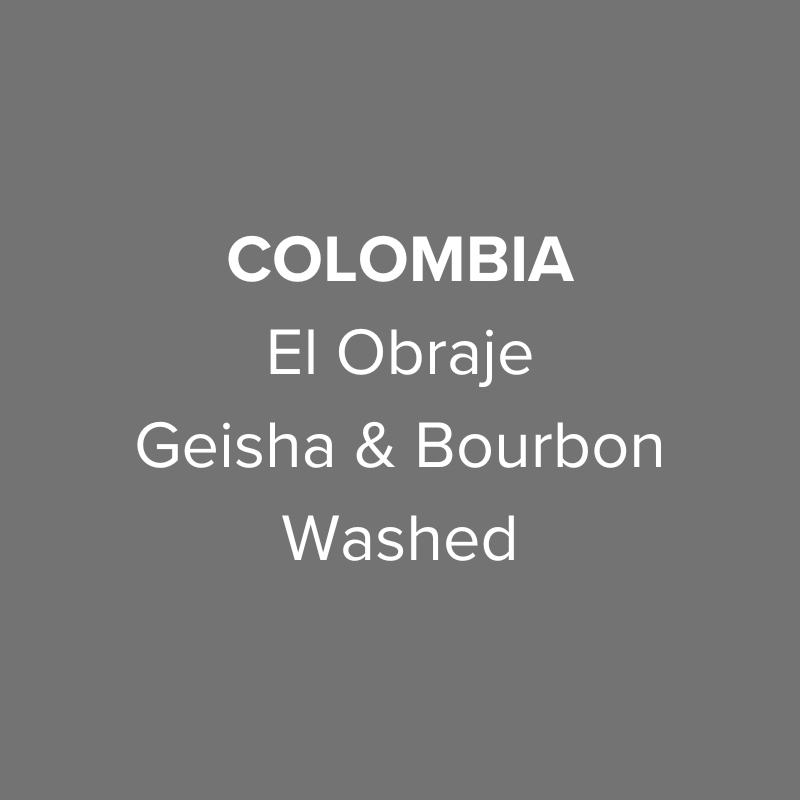 Photo of Colombia El Obraje Geisha & Bourbon Washed